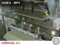 Video TME AUTOMATIC WEIGHT FILLING AND CLOSING LINE FOR FRIED ONION WITH CEFENISA CLOSING MACHINE